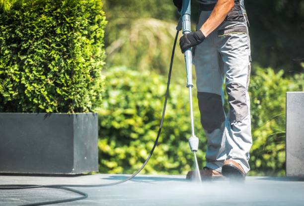 Animal Enclosure Cleaning in Joseph, OR