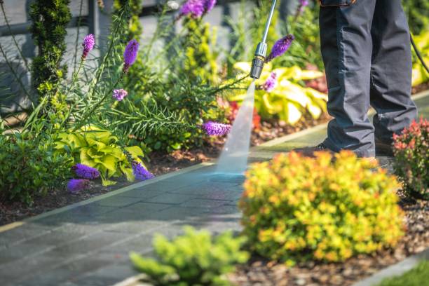 Best Sidewalk and Walkway Cleaning  in Joseph, OR